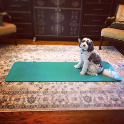 0A4C9C13-B69D-4605-B489-6D97F062BB32