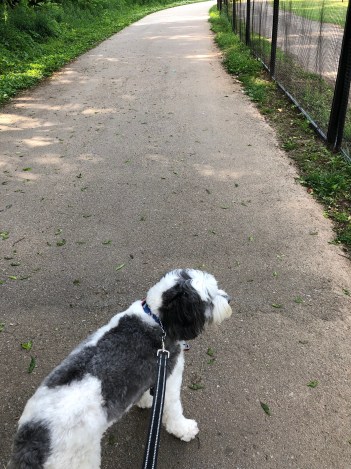 dXkfe1cnRzK0ivUz0+UBAA