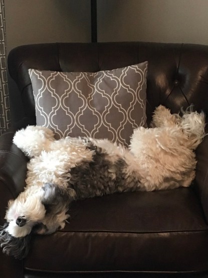 UNADJUSTEDNONRAW_thumb_4f5f