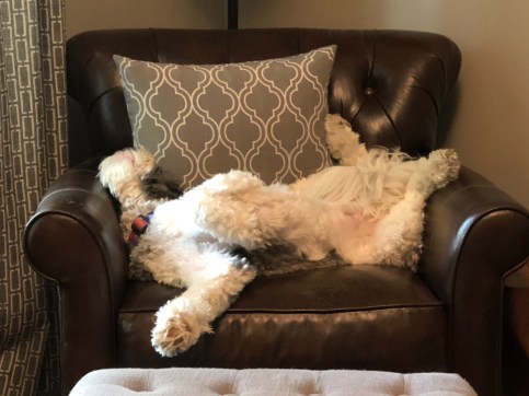 E5EveQ2OQA6u4gglHri0MA